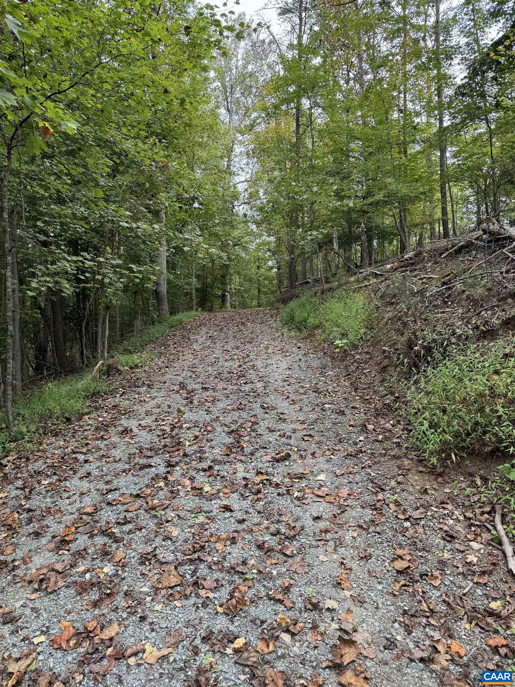 2.39-acres 2.39-acres Plank Road Afton, VA 22920 - Photo 11 of 12
