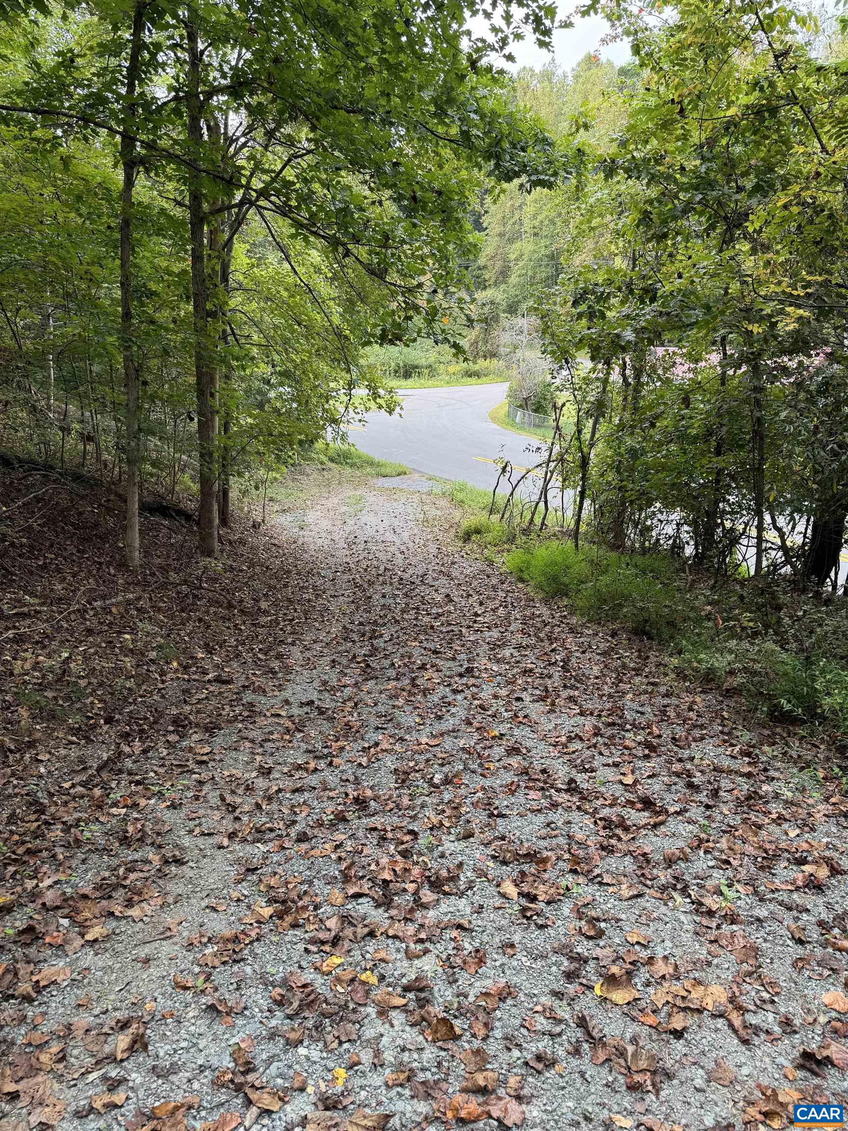 2.39-acres 2.39-acres Plank Road Afton, VA 22920 - Photo 12 of 12