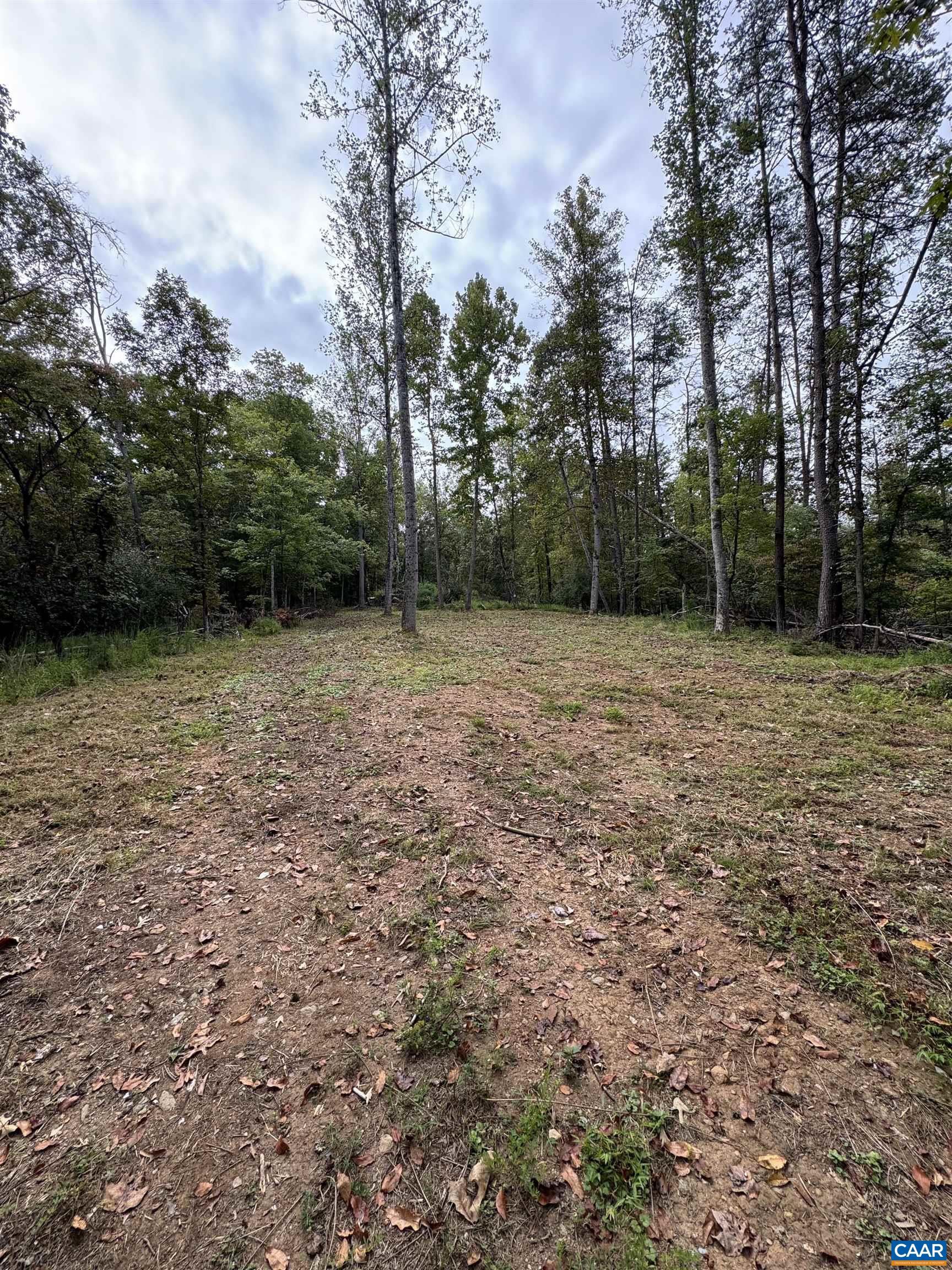 2.39-acres 2.39-acres Plank Road Afton, VA 22920 - Photo 2 of 12
