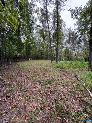 $110,000 | 2.39-acres 2.39-acres Plank Road, Afton, VA 22920