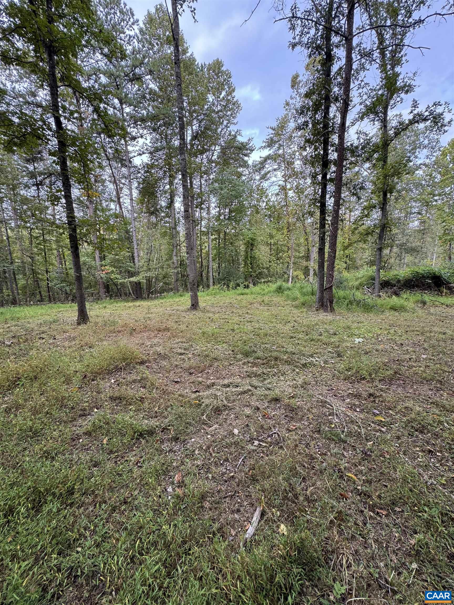 2.39-acres 2.39-acres Plank Road Afton, VA 22920 - Photo 4 of 12