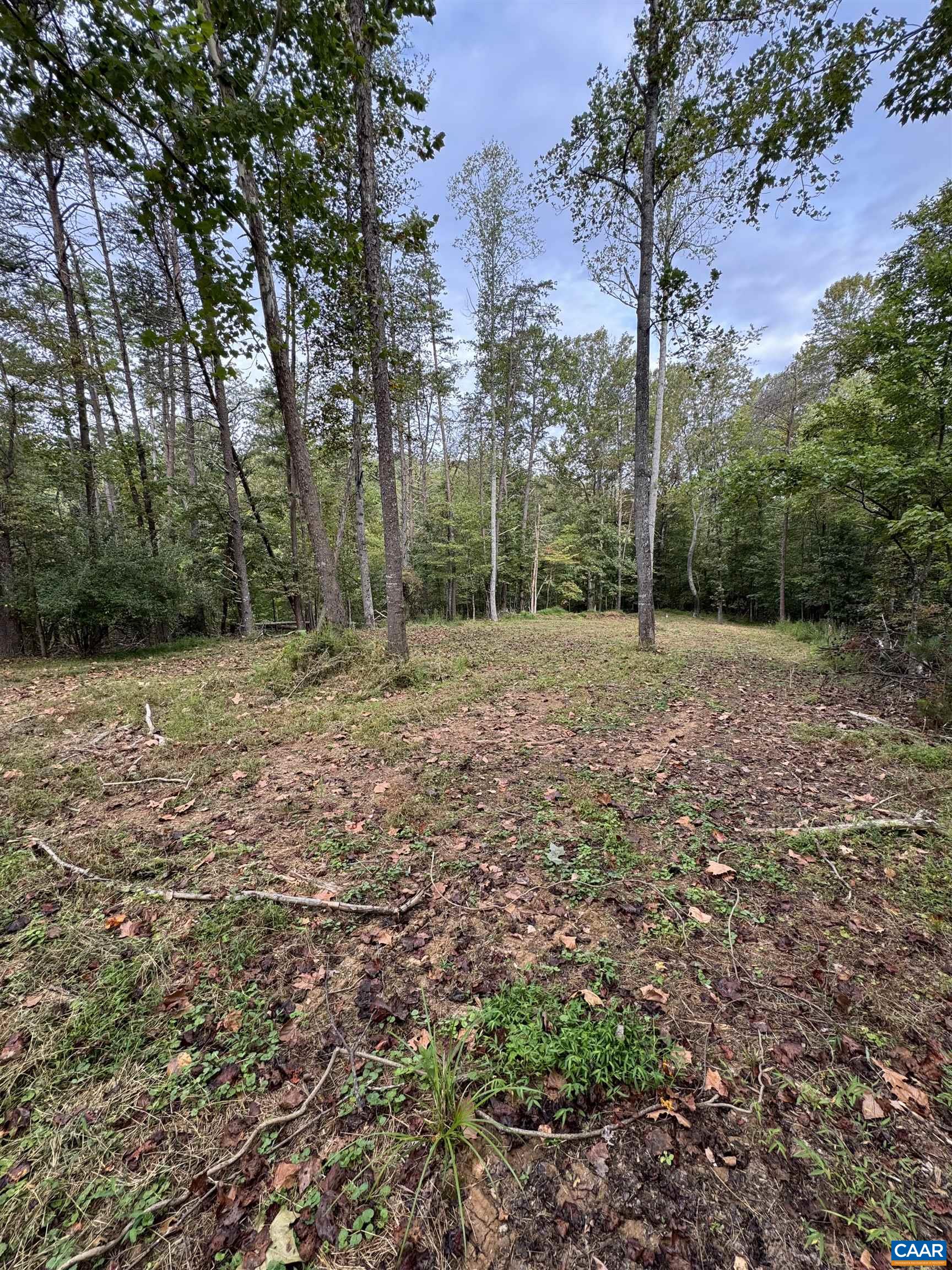 2.39-acres 2.39-acres Plank Road Afton, VA 22920 - Photo 5 of 12