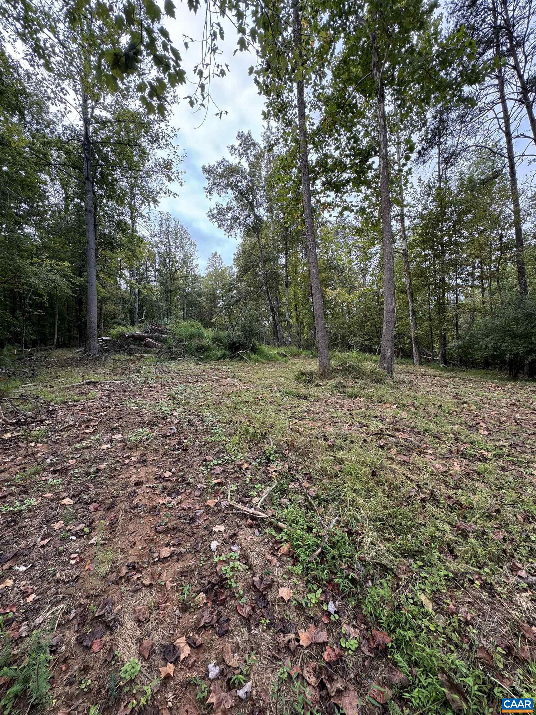 2.39-acres 2.39-acres Plank Road Afton, VA 22920 - Photo 7 of 12