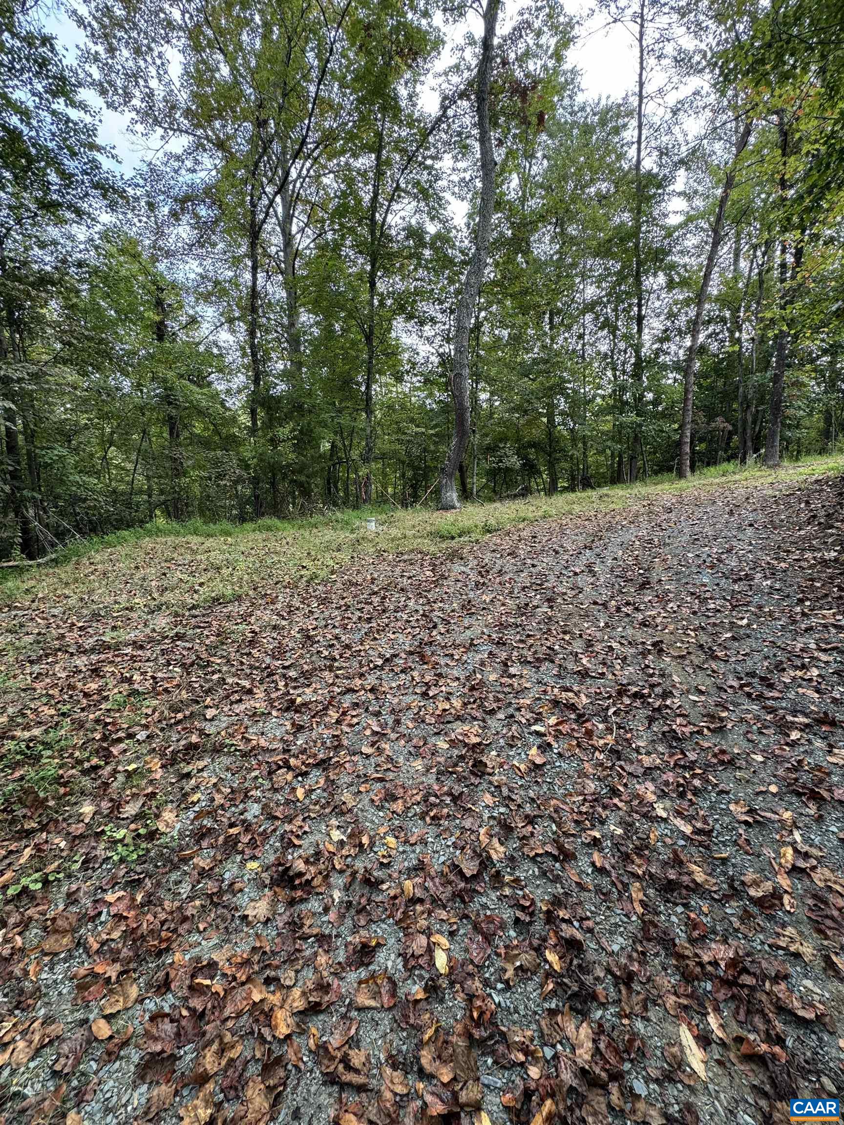 2.39-acres 2.39-acres Plank Road Afton, VA 22920 - Photo 8 of 12