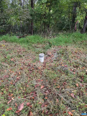 $110,000 | 2.39-acres 2.39-acres Plank Road, Afton, VA 22920