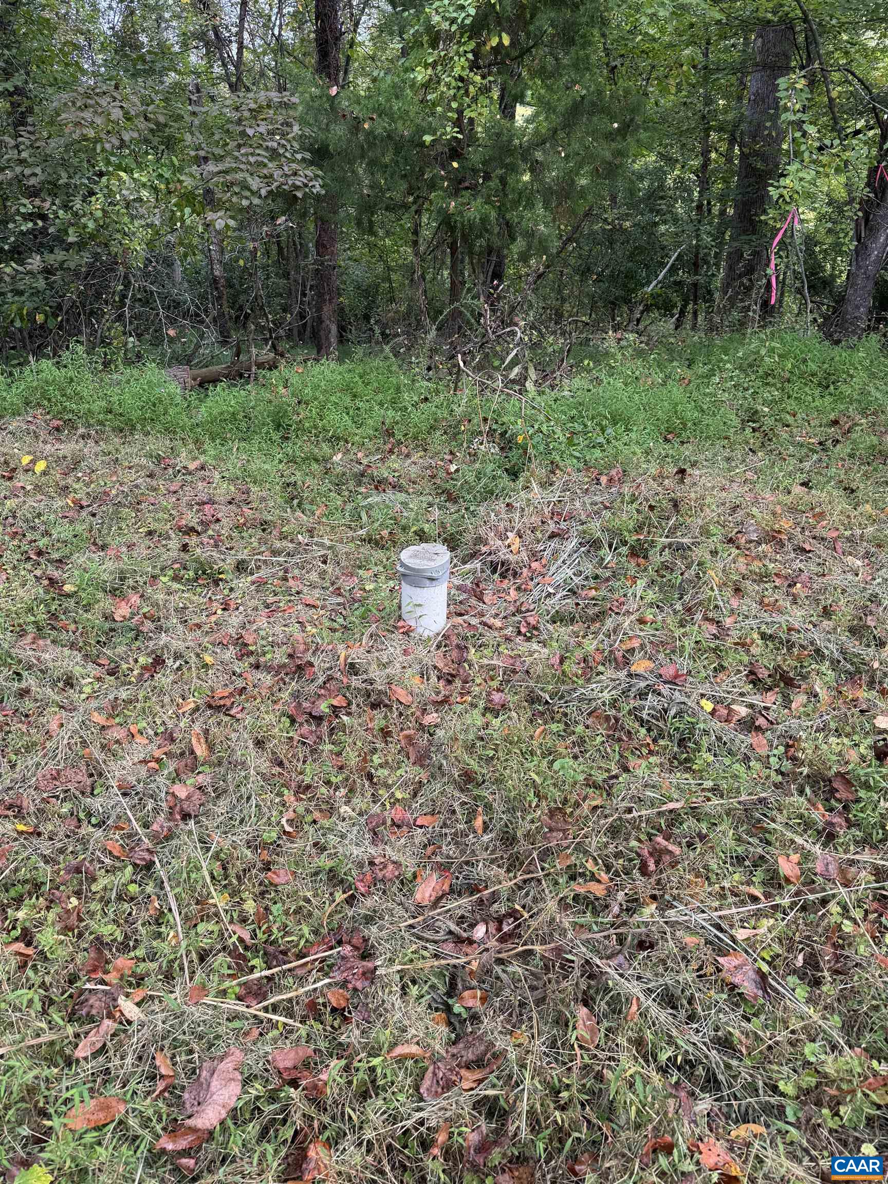 2.39-acres 2.39-acres Plank Road Afton, VA 22920 - Photo 9 of 12