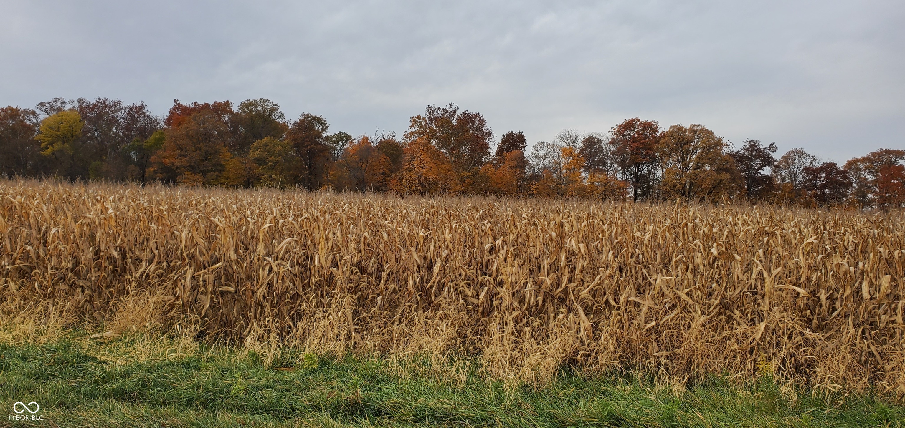 0 South 400th Road West New Palestine, IN 46163 - Photo 8 of 9