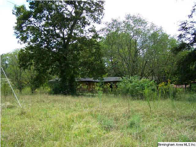 2231 Camp Brownie Road, Unit 5 AC Sylacauga, AL 35151 - Photo 4 of 15