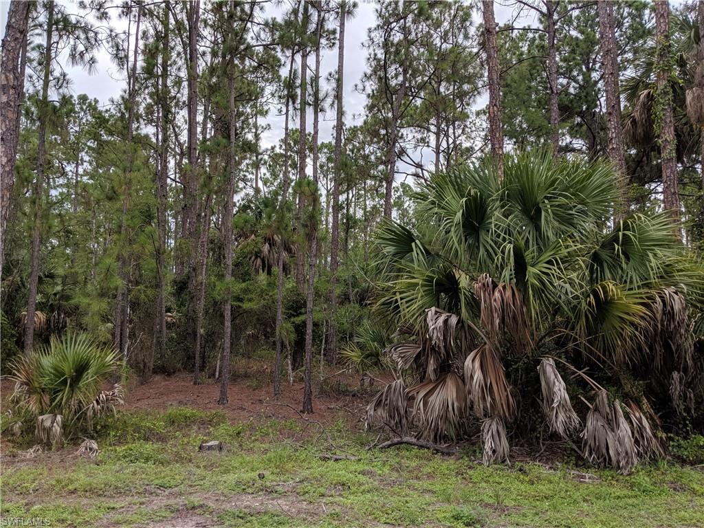 3261 15th Avenue Southwest Naples, FL 34117 - Photo 1 of 3