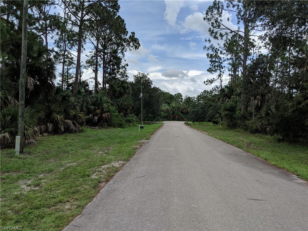 3261 15th Avenue Southwest Naples, FL 34117 - Photo 3 of 3 a view of a street both of side forest