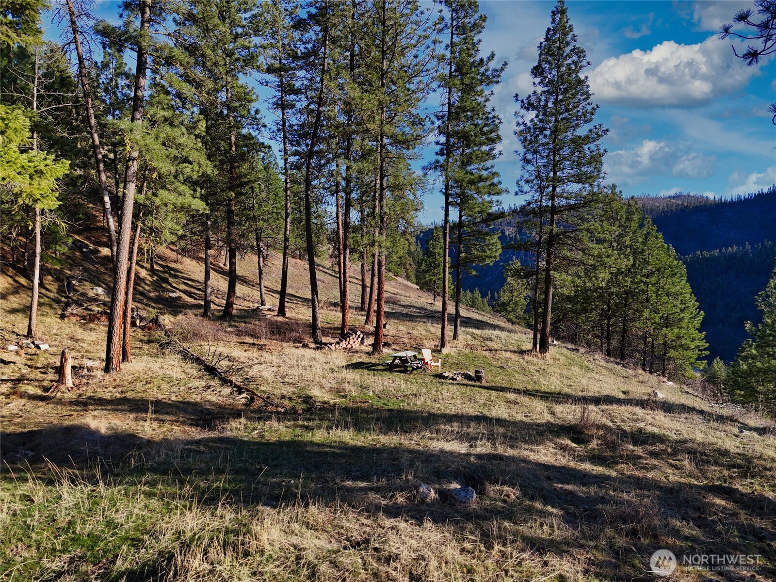 1721 Aeneas Valley Road Tonasket, WA 98855 - Photo 15 of 40