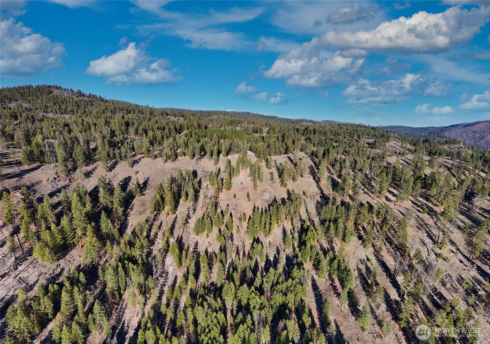 1721 Aeneas Valley Road Tonasket, WA 98855 - Photo 18 of 40