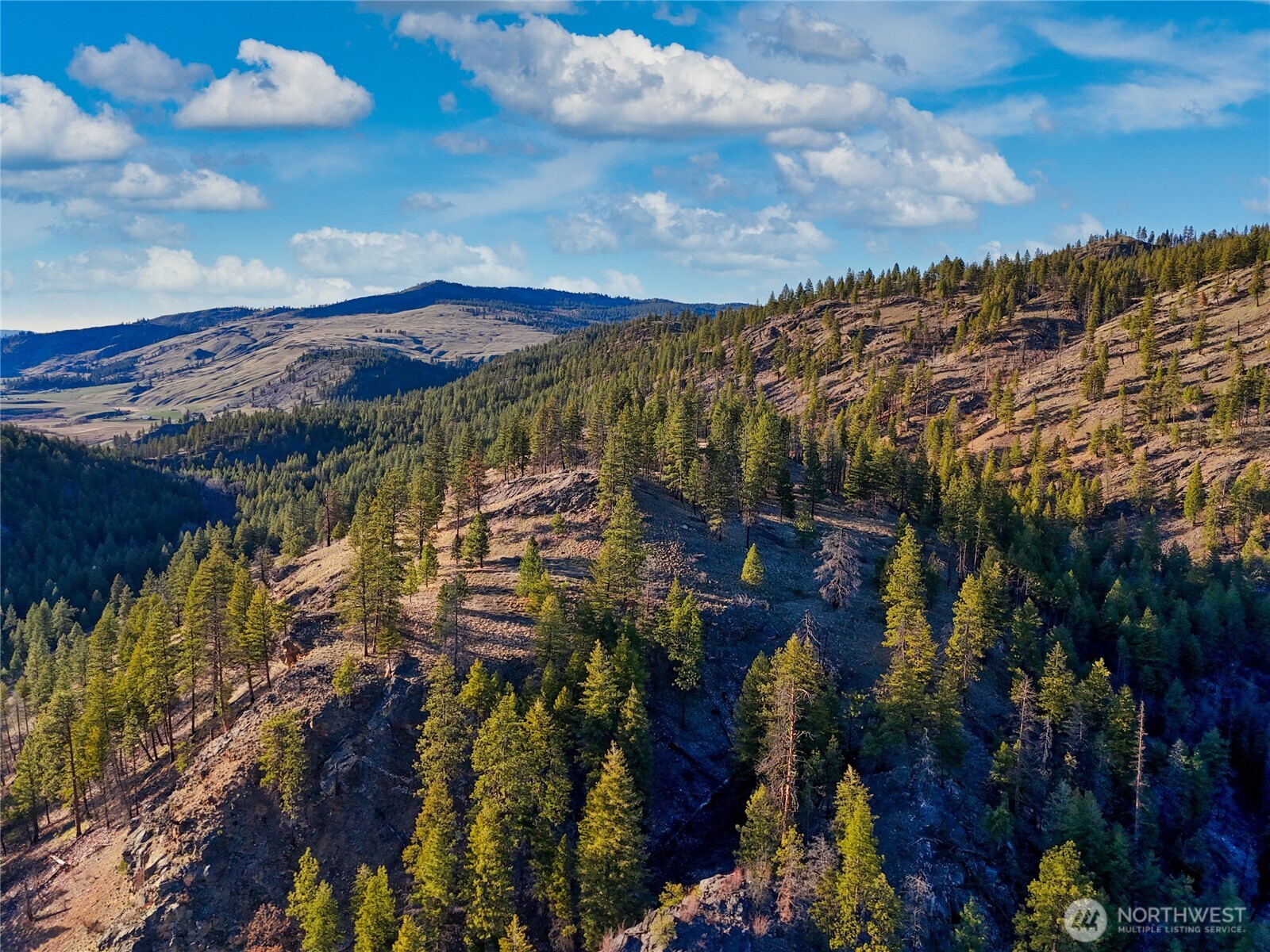 1721 Aeneas Valley Road Tonasket, WA 98855 - Photo 19 of 40