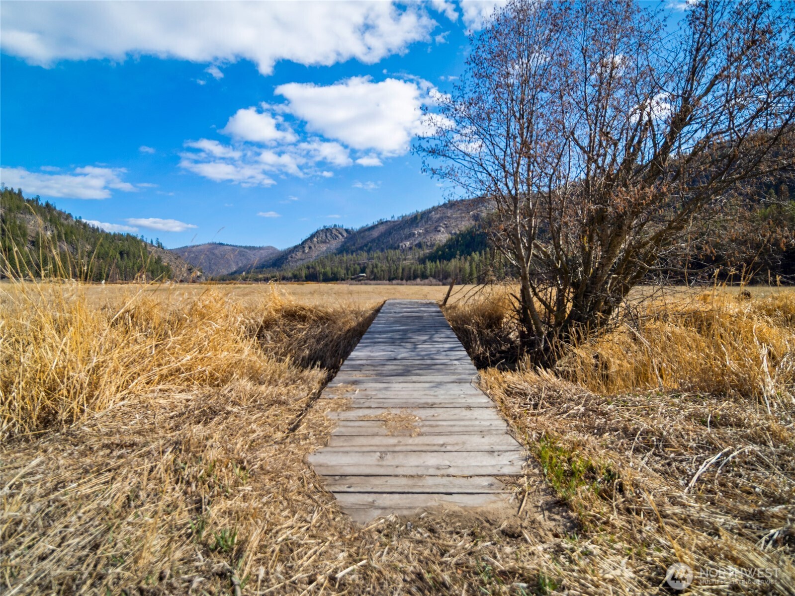 1721 Aeneas Valley Road Tonasket, WA 98855 - Photo 26 of 40