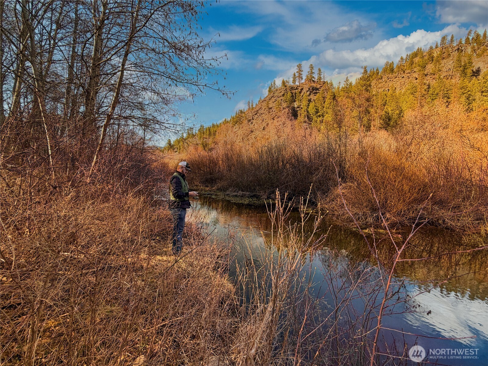 1721 Aeneas Valley Road Tonasket, WA 98855 - Photo 3 of 40