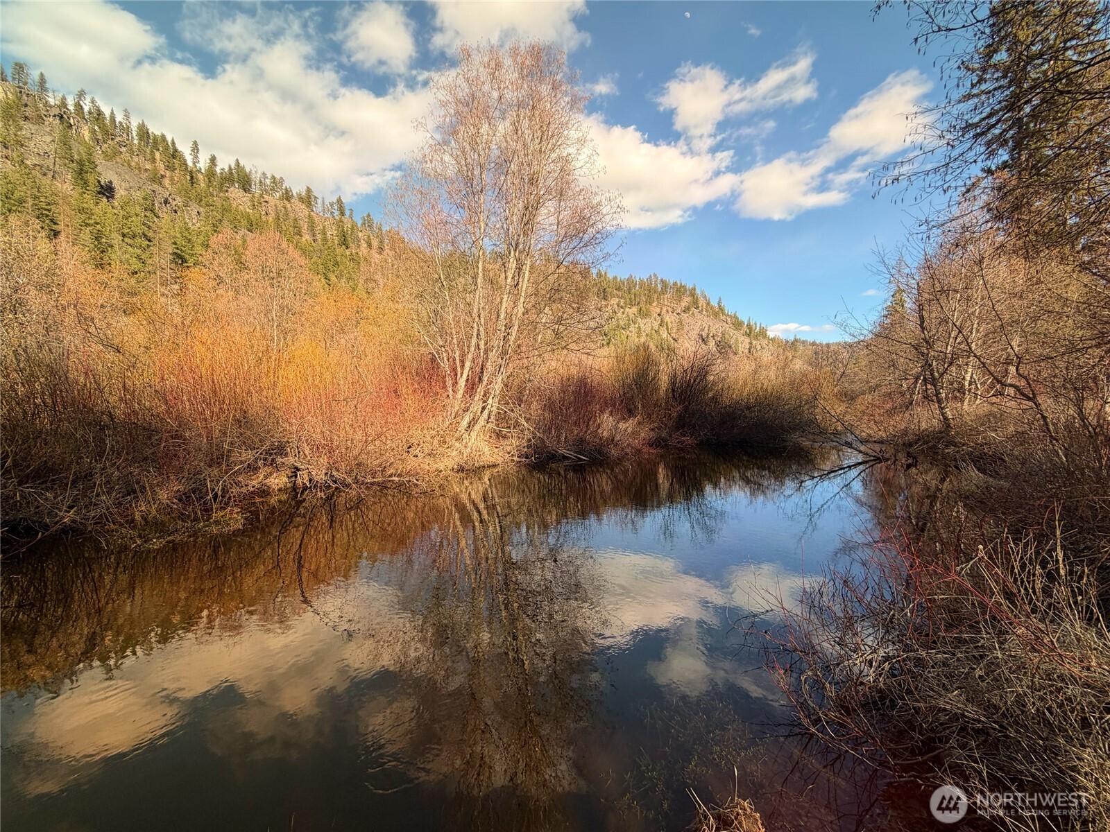 1721 Aeneas Valley Road Tonasket, WA 98855 - Photo 4 of 40