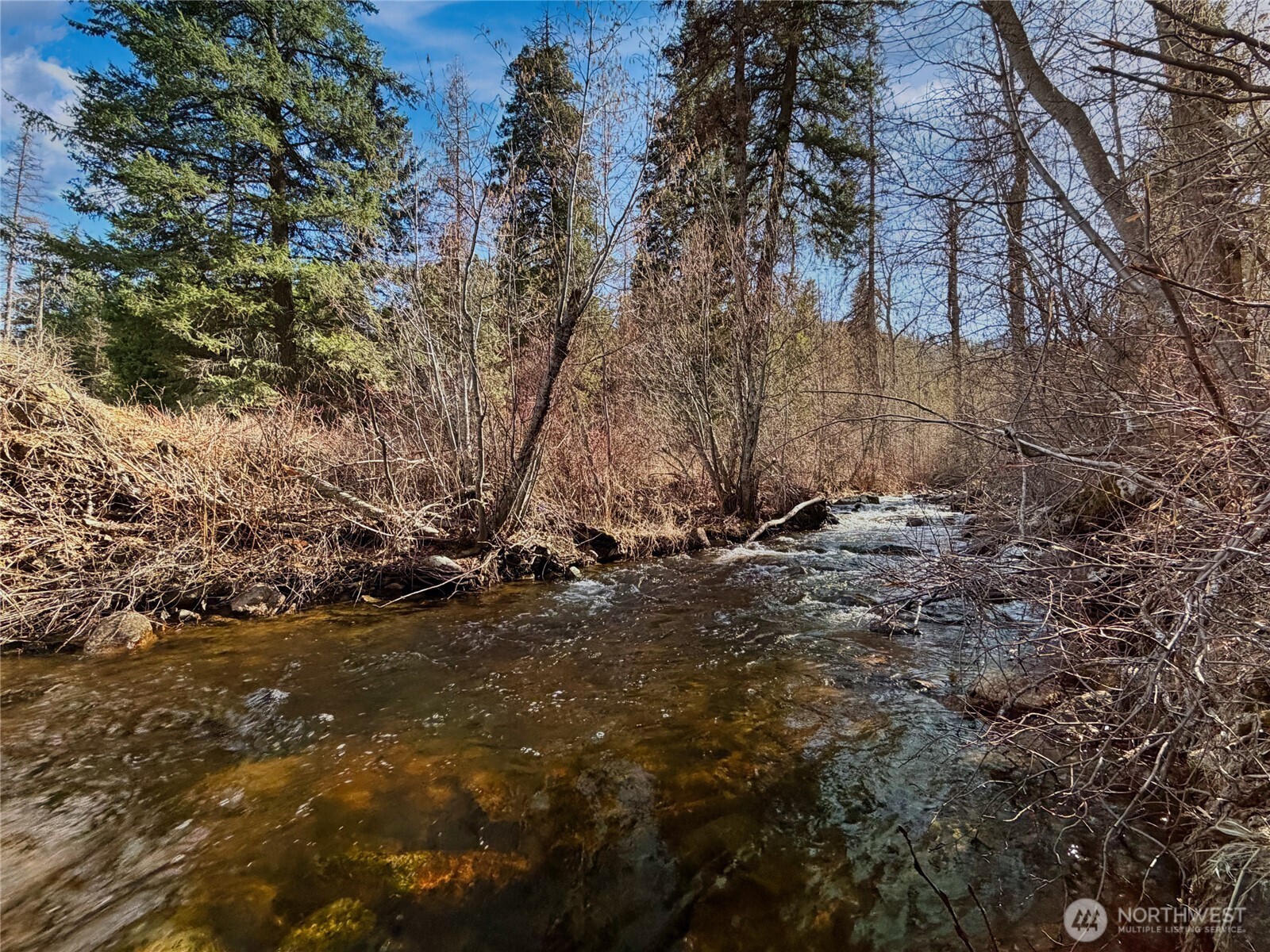 1721 Aeneas Valley Road Tonasket, WA 98855 - Photo 5 of 40