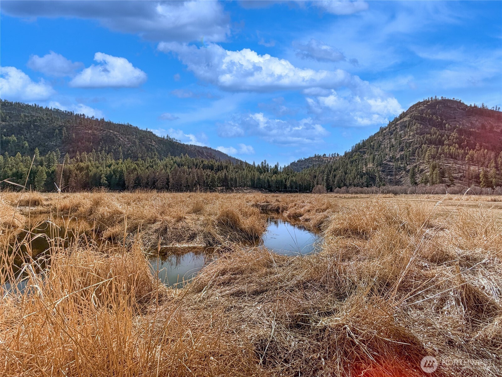 1721 Aeneas Valley Road Tonasket, WA 98855 - Photo 6 of 40
