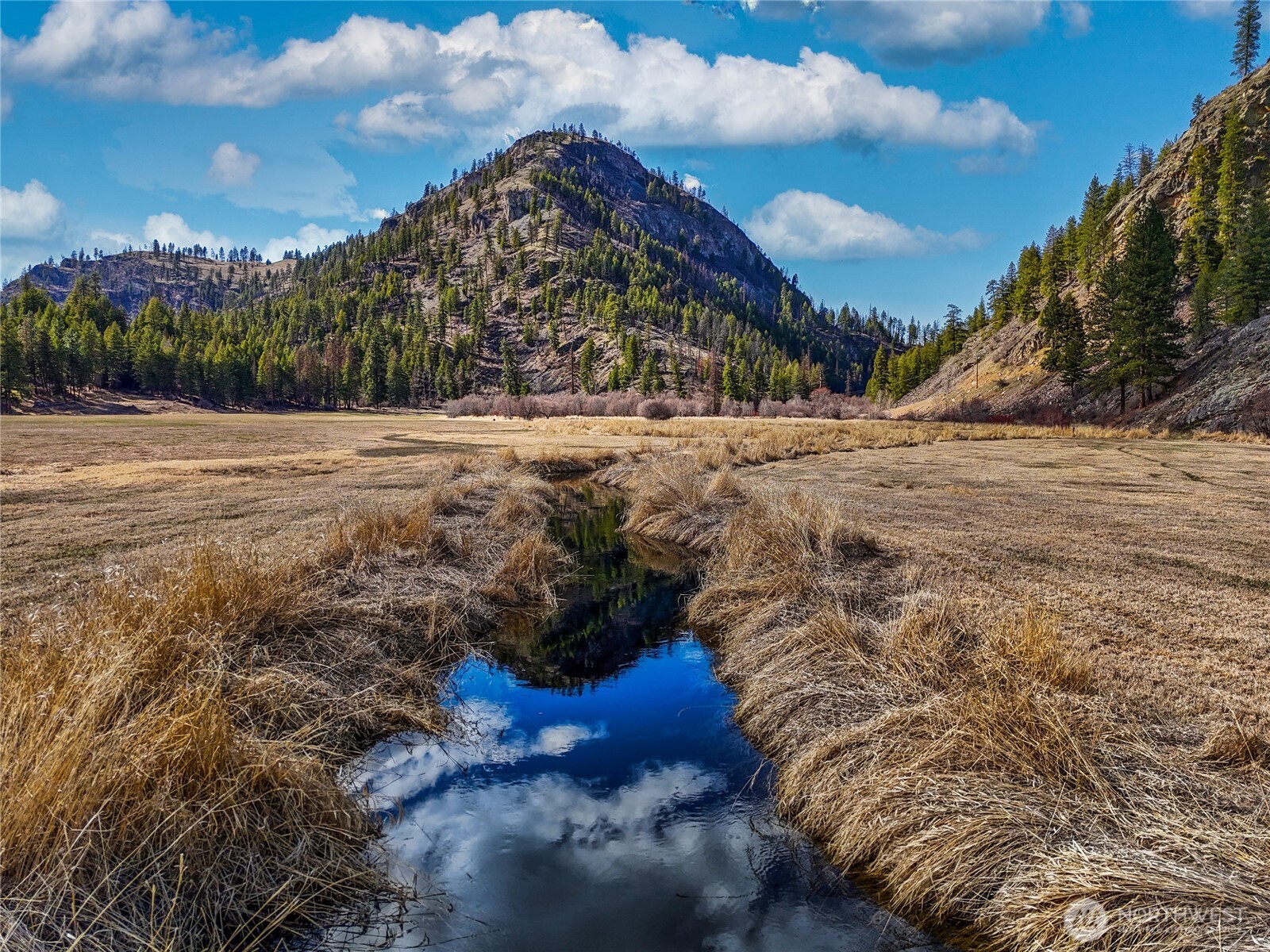 1721 Aeneas Valley Road Tonasket, WA 98855 - Photo 7 of 40