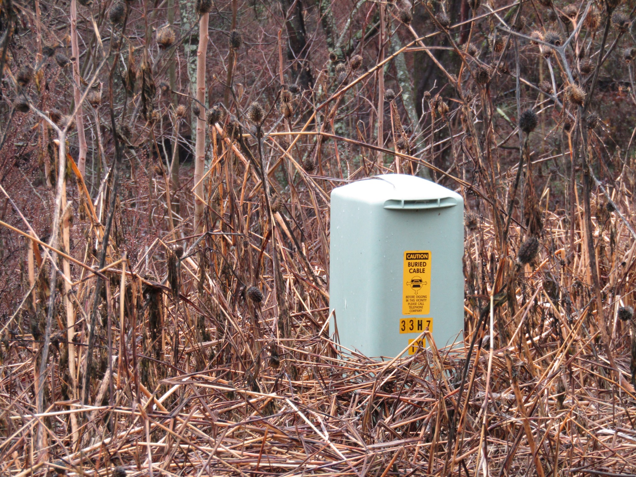 0 Lanis Road Baxter, TN 38544 - Photo 6 of 7 a front view of a house with a yard