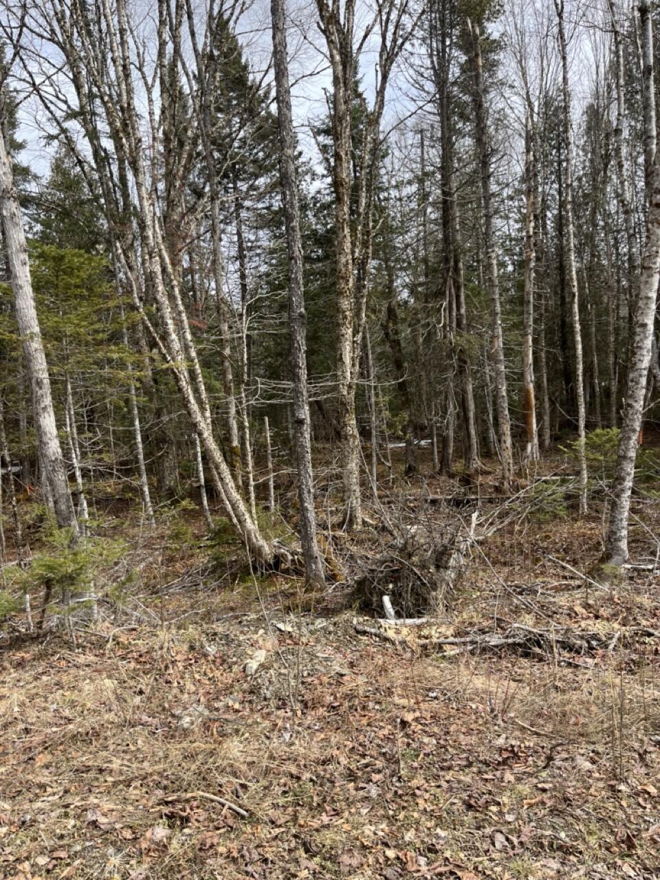 33 Rt 6 Highway Carroll Plt, ME 04487 - Photo 7 of 10