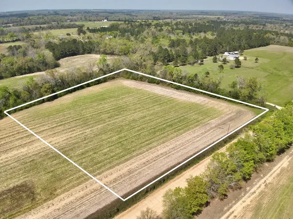 $45,000 | 4-acres Dillard Road, Pansey, AL 36370