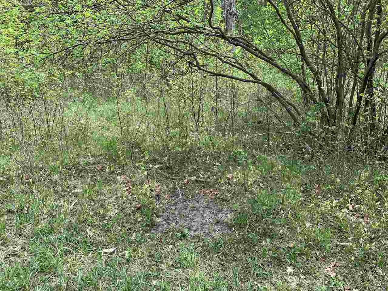 40 South 17 Road Boon, MI 49618 - Photo 15 of 33
