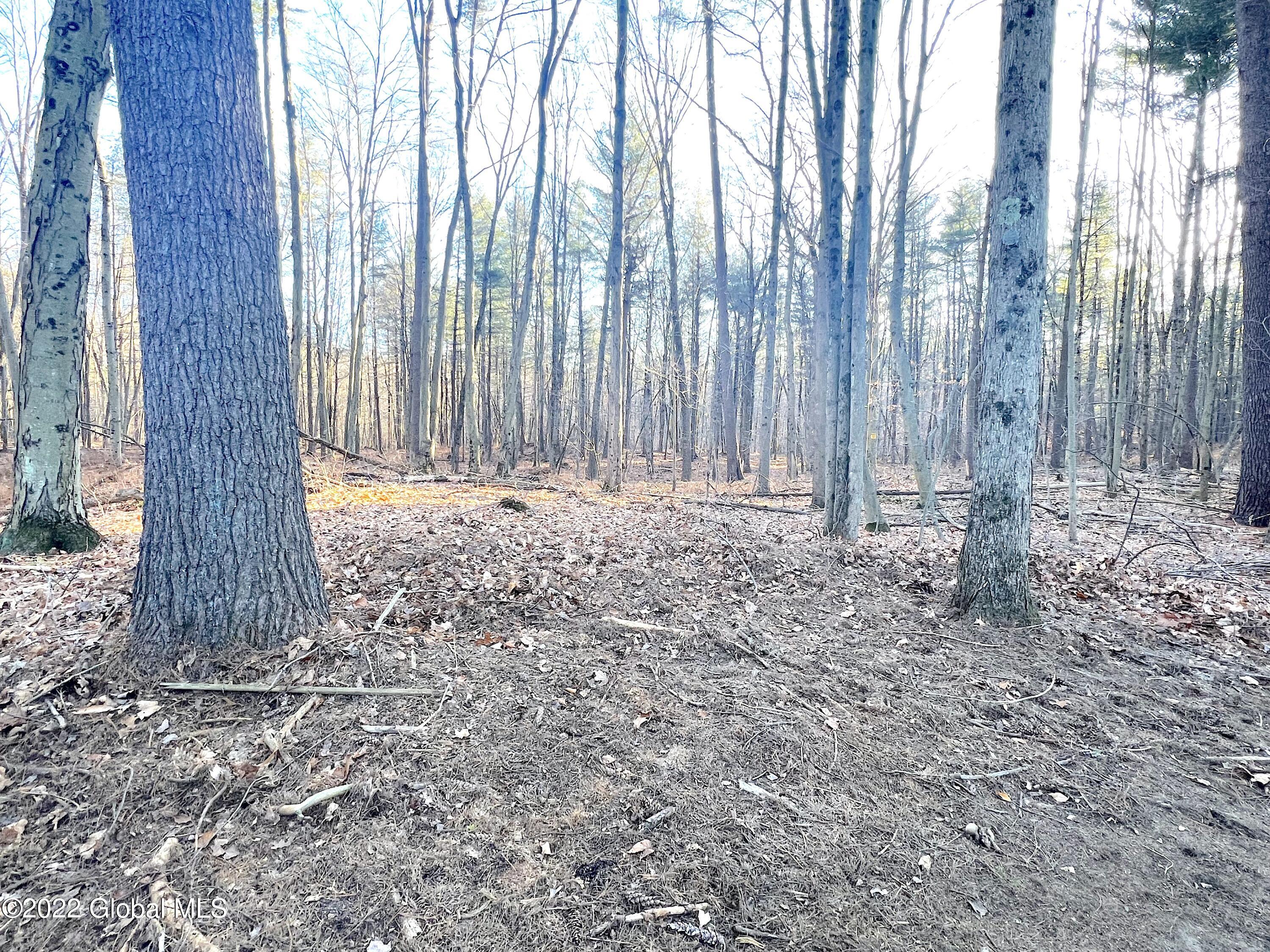 262 Thimbleberry Road Malta, NY 12020 - Photo 34 of 35 IMG_8594