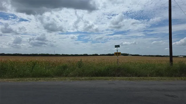 a view of a lake from a yard