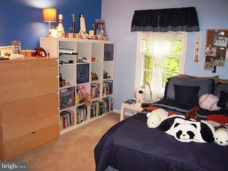 6812 Earthstar Court Springfield, VA 22152 - Photo 22 of 29 Bedroom 3