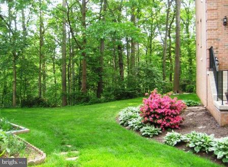 6812 Earthstar Court Springfield, VA 22152 - Photo 5 of 29 Side yard
