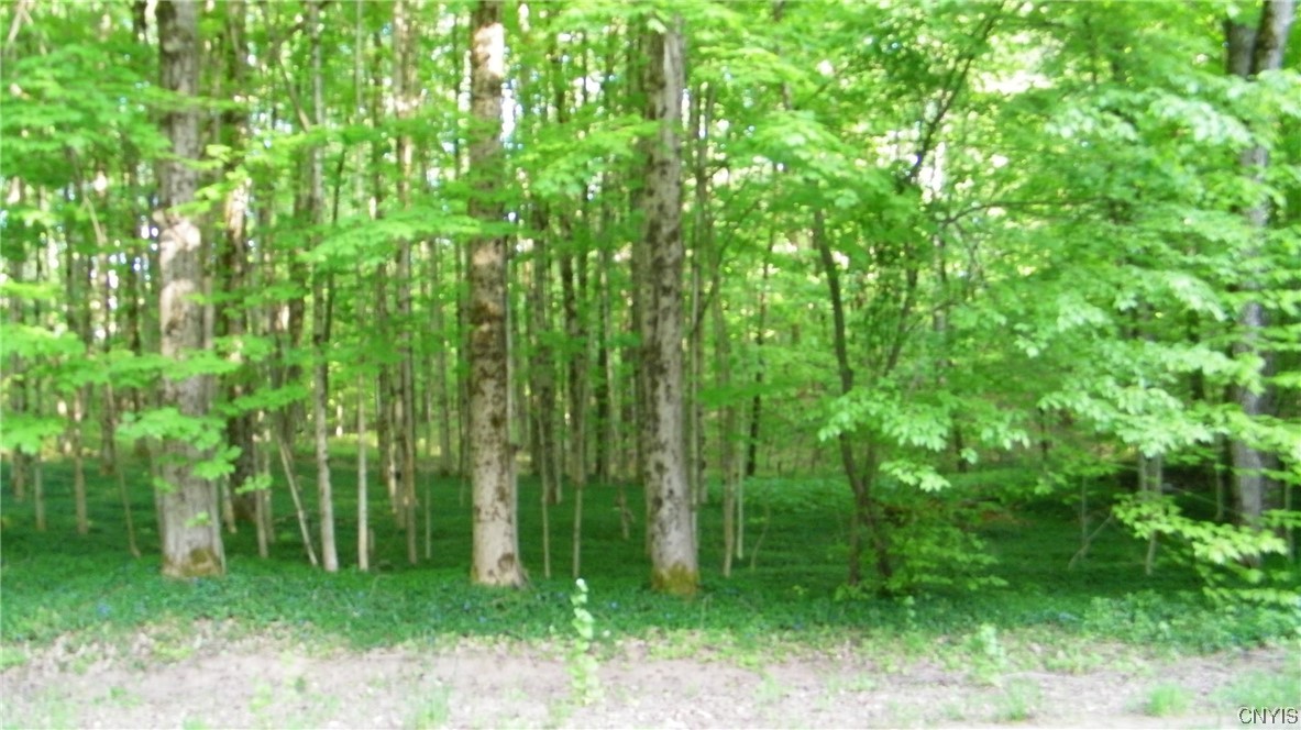 0 Dixon Road Camden, NY 13316 - Photo 1 of 1 Gallery Image 1
