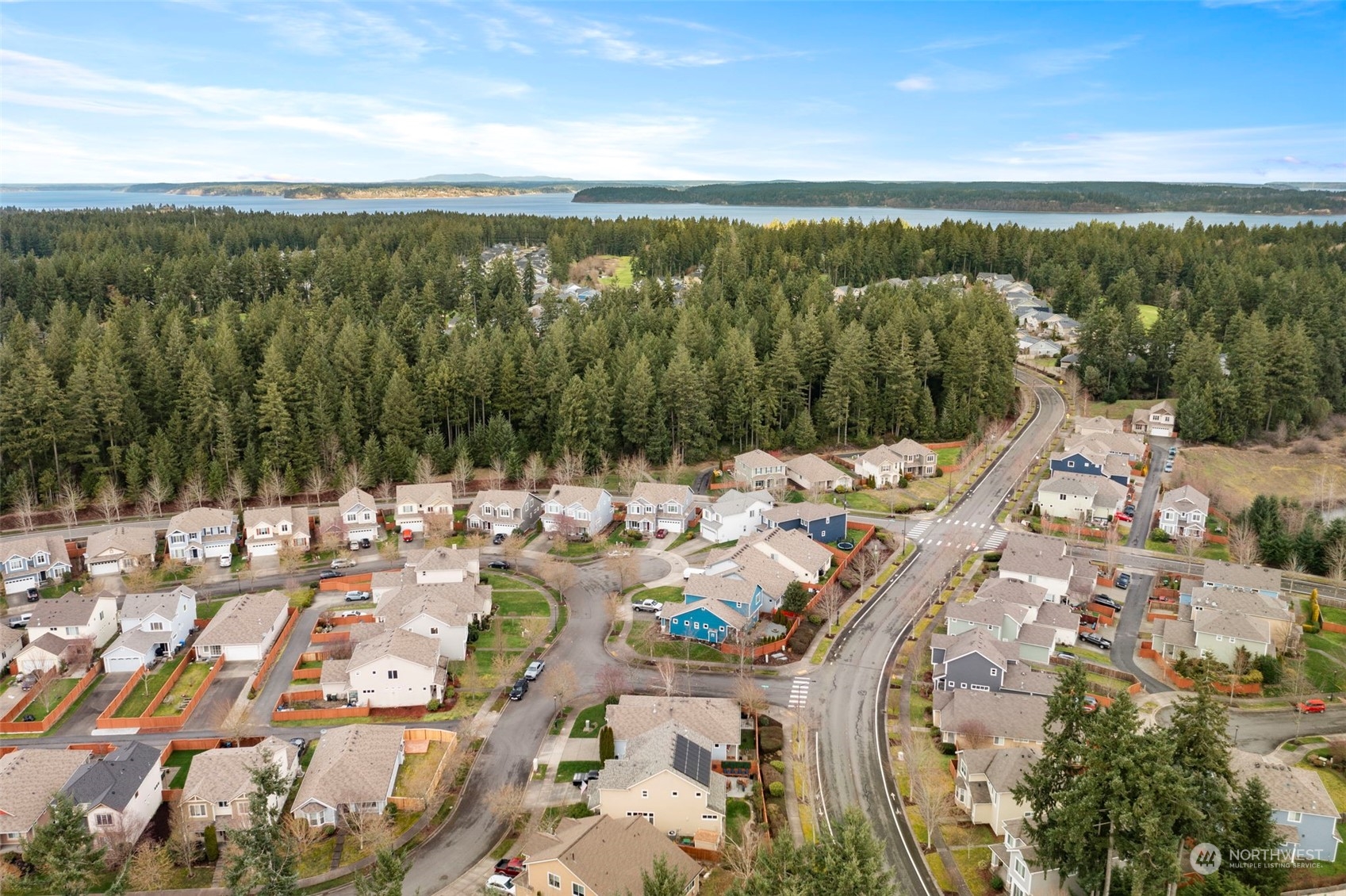 9175 Periwinkle Loop Northeast Lacey, WA 98516 - Photo 28 of 29 a view of a city with lake