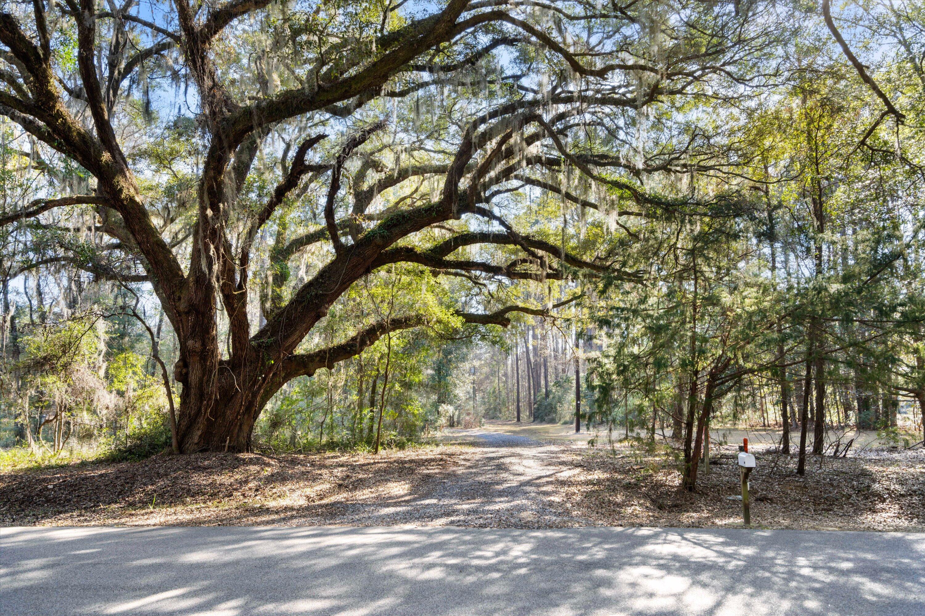 8255 Chisolm Plantation Road Edisto Island, SC 29438 - Photo 41 of 49 35-DSC07071_1