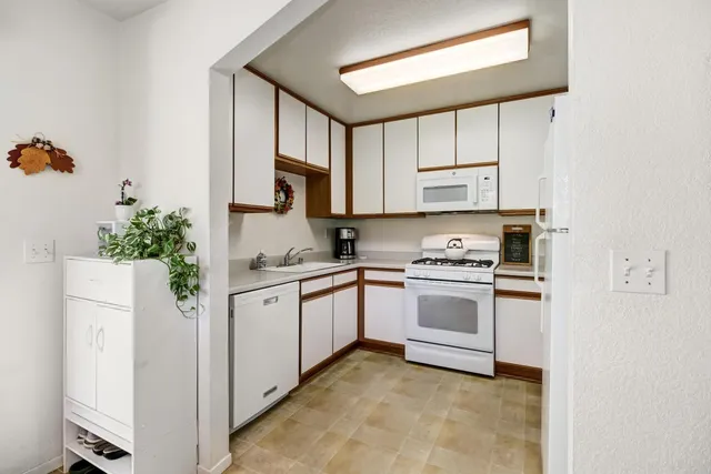a backyard of a house with lots of green space and glass windows