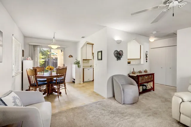 a view of a backyard with potted plants and large tree