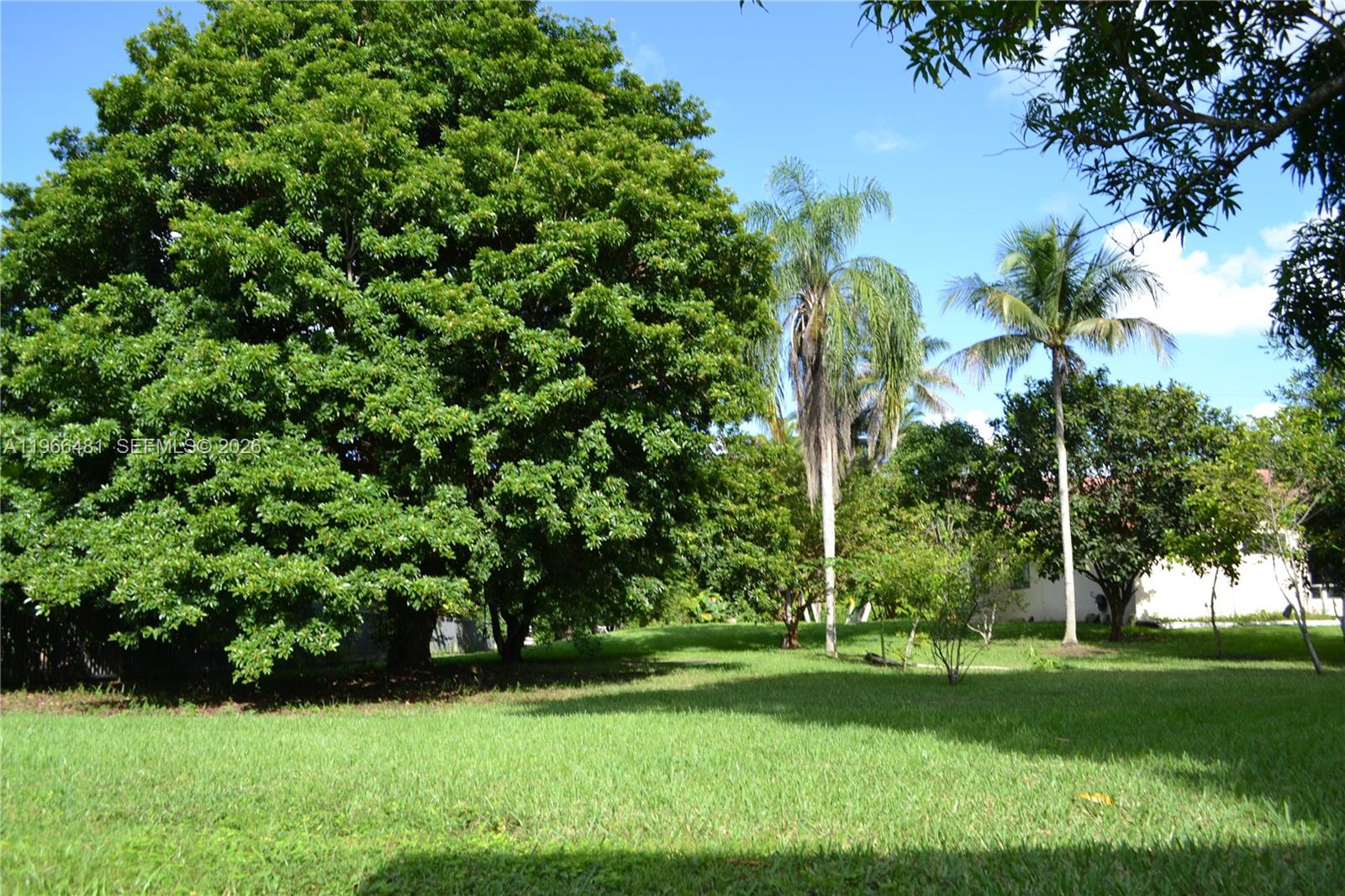 5425 Southwest 190th Avenue, Unit 1 Southwest Ranches, FL 33332 - Photo 45 of 56 a view of a park with a tree in the background