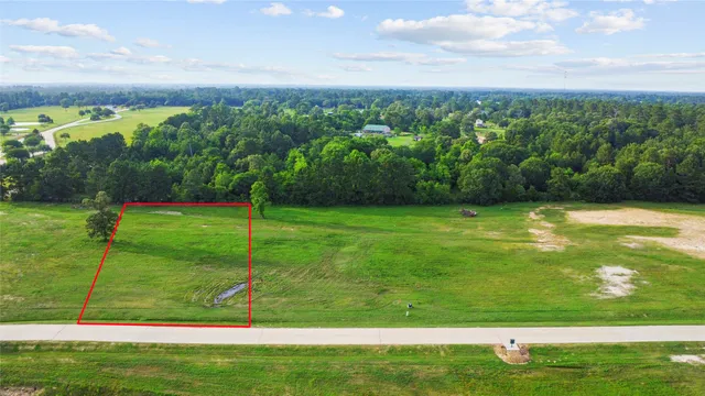 a view of a big yard