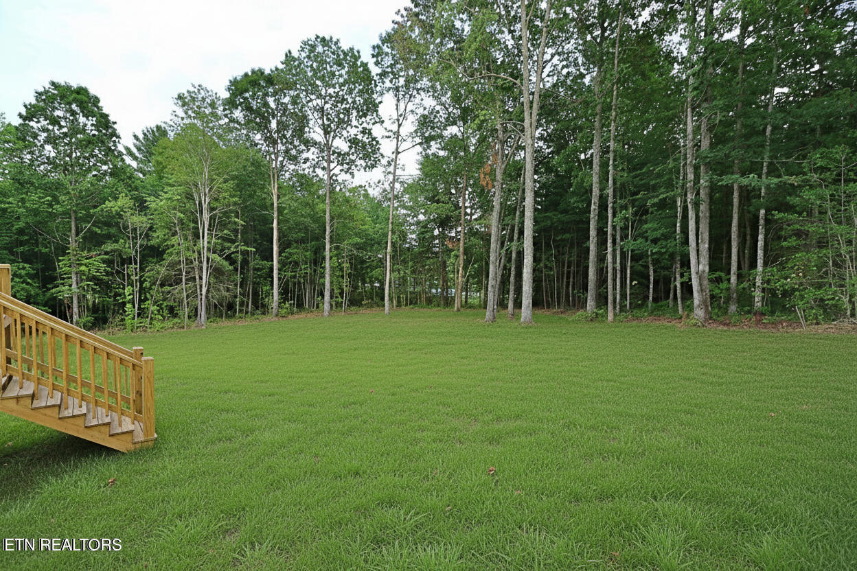 1045 Toomey Fls Road Oneida, TN 37841 - Photo 48 of 57 7