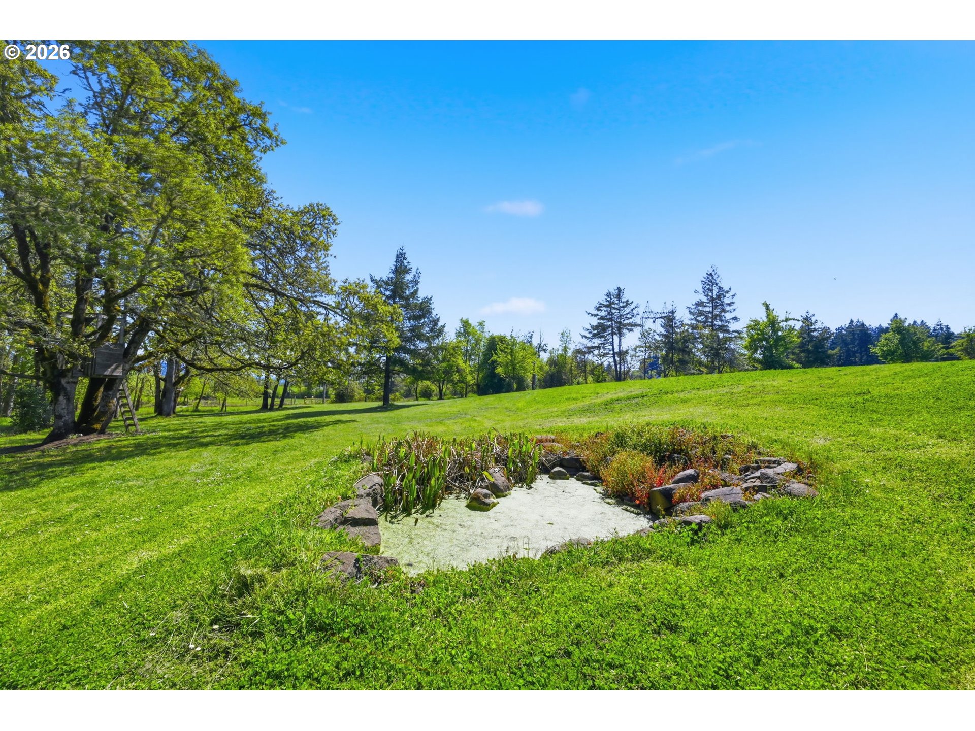 85069 Ridge Top Drive Eugene, OR 97405 - Photo 37 of 48 Pond