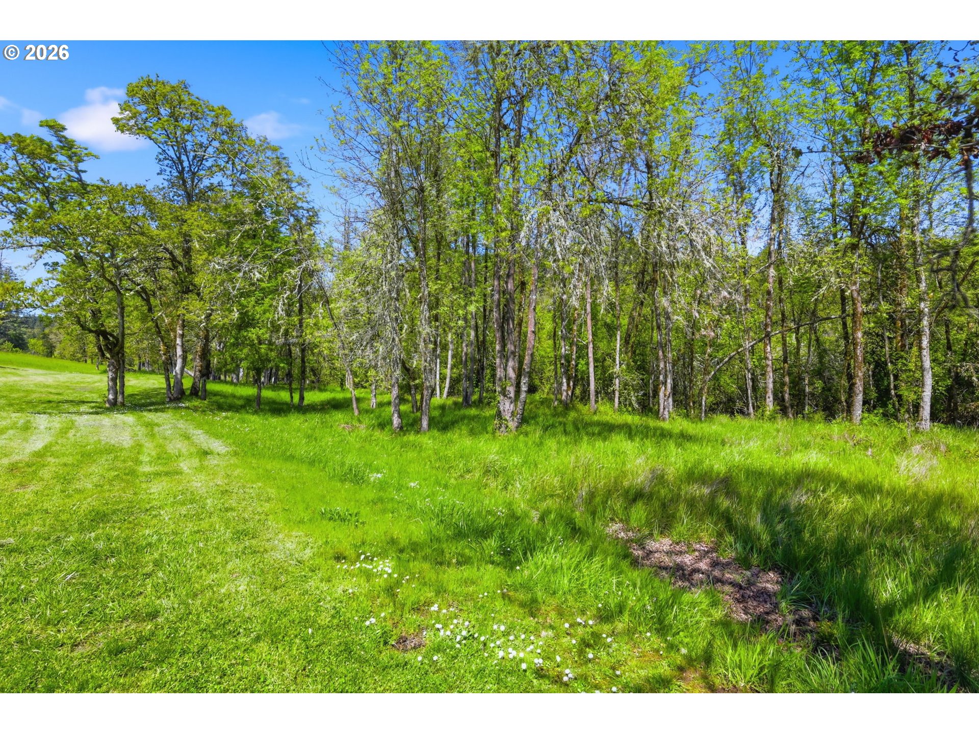 85069 Ridge Top Drive Eugene, OR 97405 - Photo 39 of 48 Creek