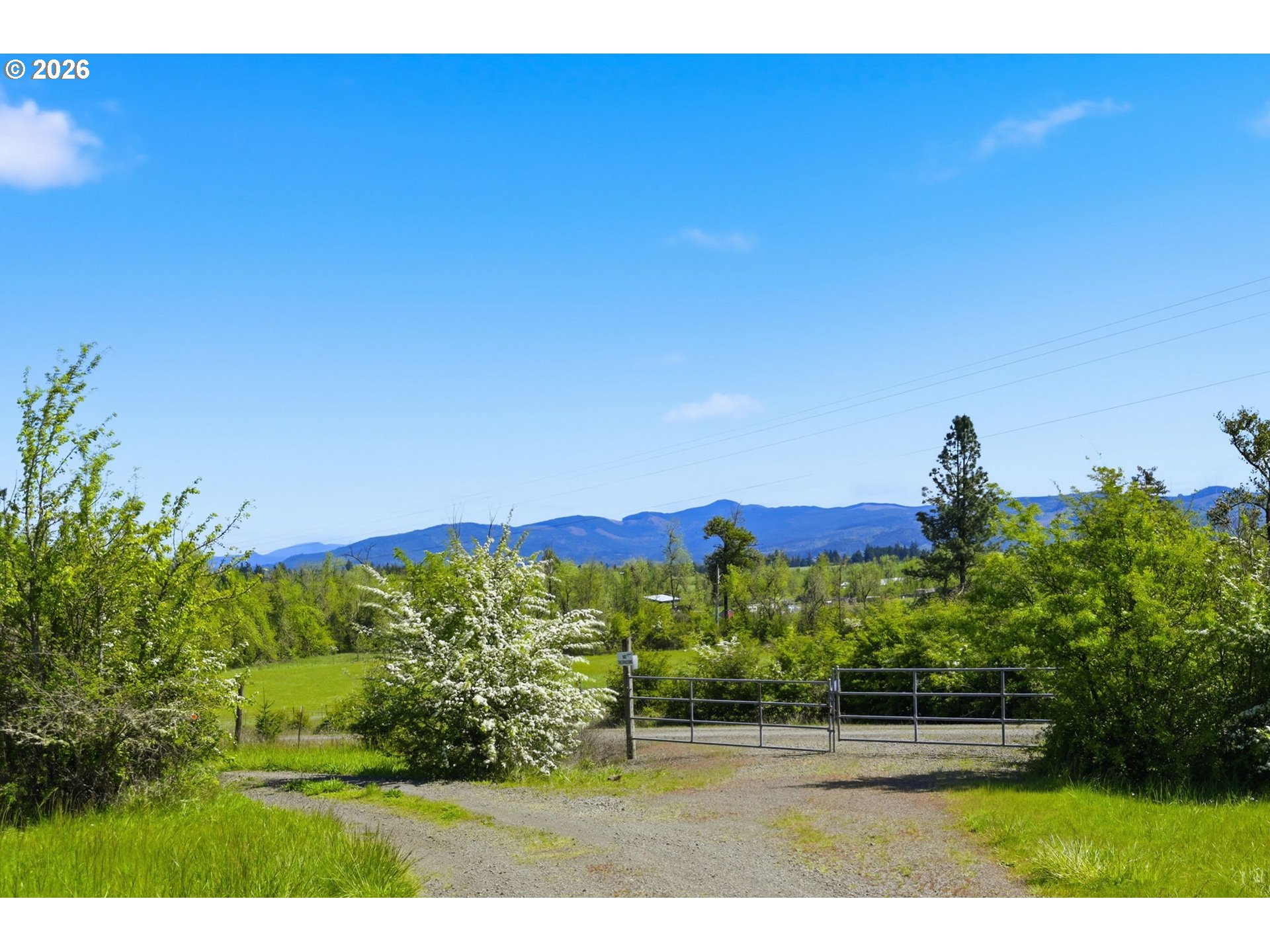 85069 Ridge Top Drive Eugene, OR 97405 - Photo 42 of 48 Driveway
