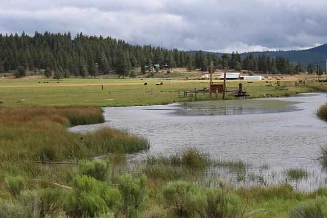 22779 Sprague River Road Chiloquin, OR 97624 - Photo 6 of 23 Additional Photo