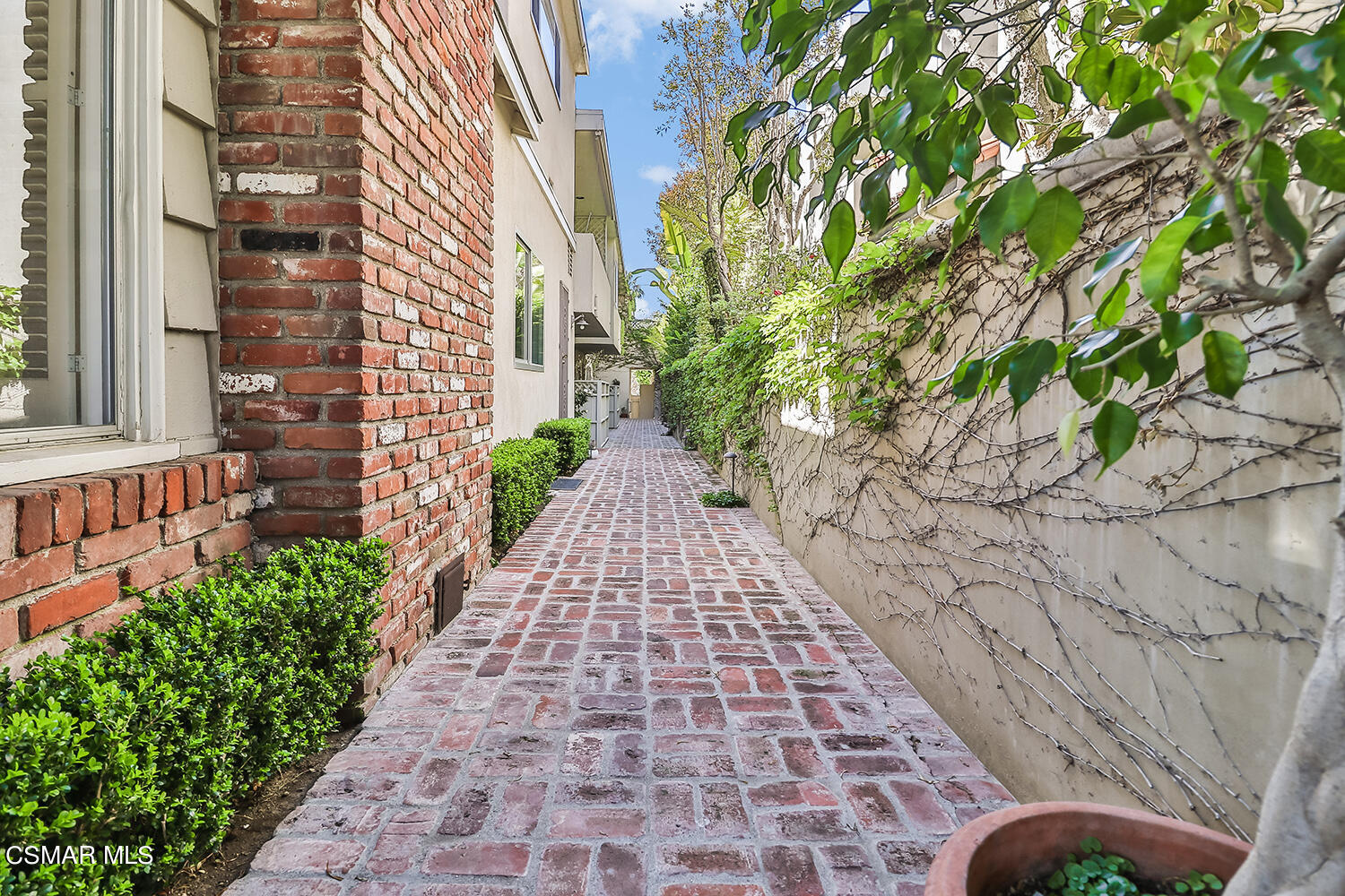 844 16th Street, Unit 5 Santa Monica, CA 90403 - Photo 3 of 31 a picture of street with yard