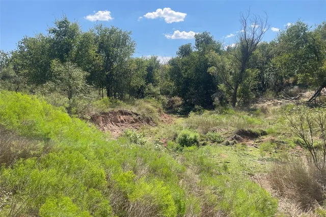 a view of a lush green space