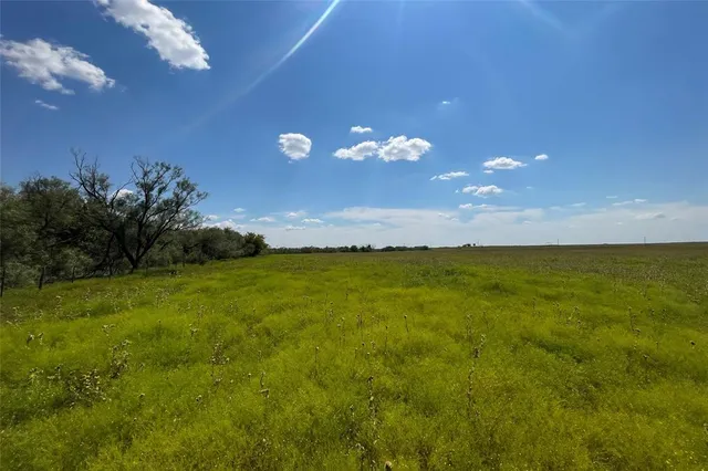 a view of an ocean and a yard