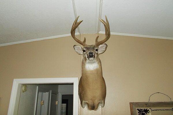 0 Fm 268 Childress, TX 79201 - Photo 24 of 26 a close view of light fixtures and a mirror of a bathroom