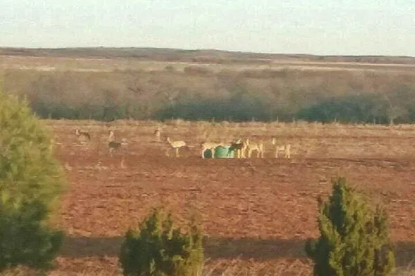 a view of lake with green space