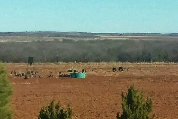 $662,400 | 0 Fm 268, Childress, TX 79201