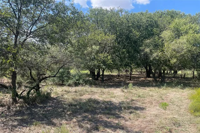 a view of a yard with a tree